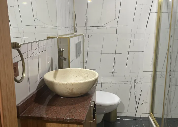 The Ottoman Desing *